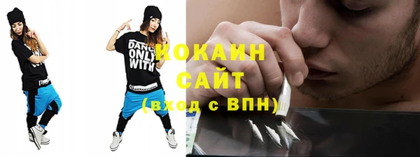 шишки Лихославль