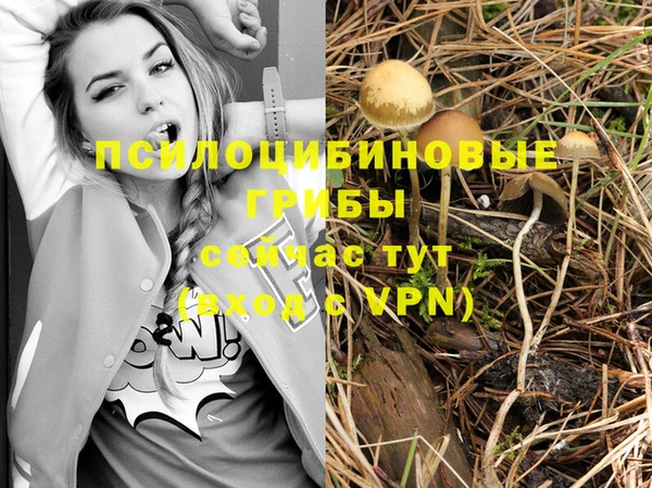 прущая мука Лиски