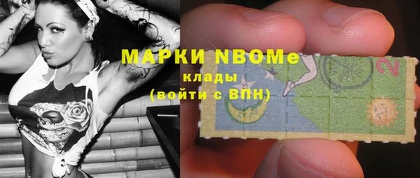 амф Бородино