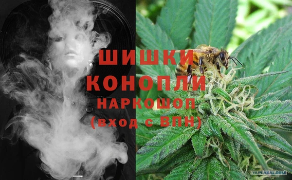 шишки Лихославль