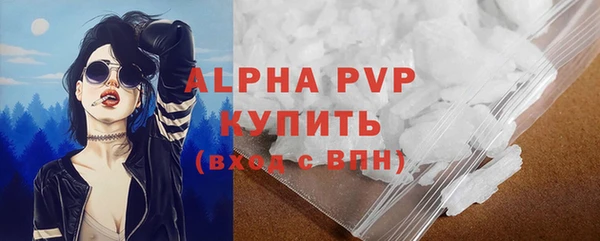 мяу мяу мука Инсар