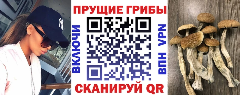 Галлюциногенные грибы мухоморы сколько стоит blacksprut зеркало Элиста