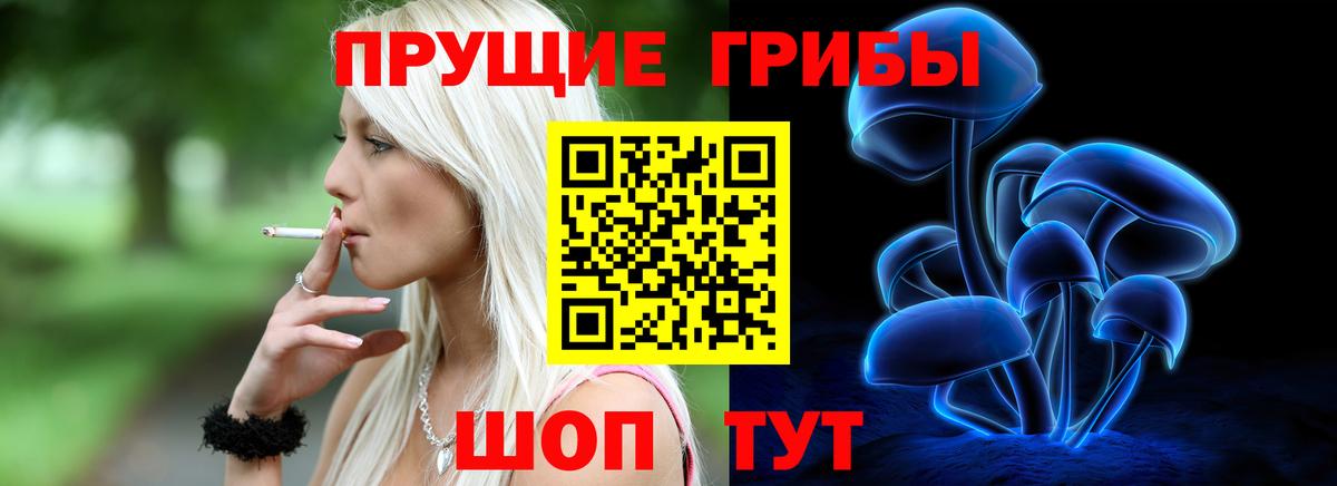 Элиста  Псилоцибиновые грибы Psilocybe  Вход с VPN  Псилоцибиновые грибы прущие грибы 