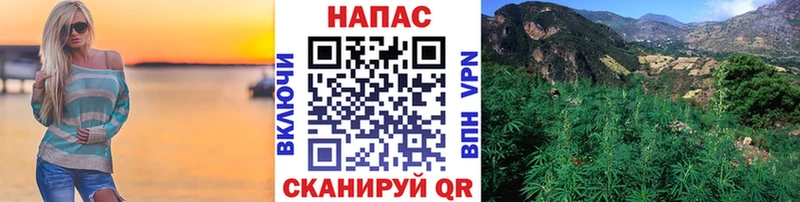 Конопля White Widow  купить  цена  Элиста 